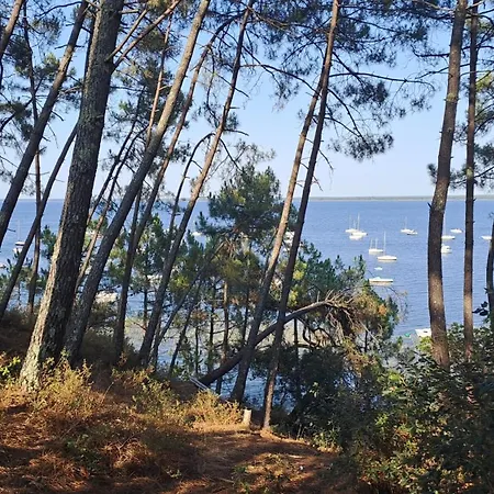 Between Pines & Carcans